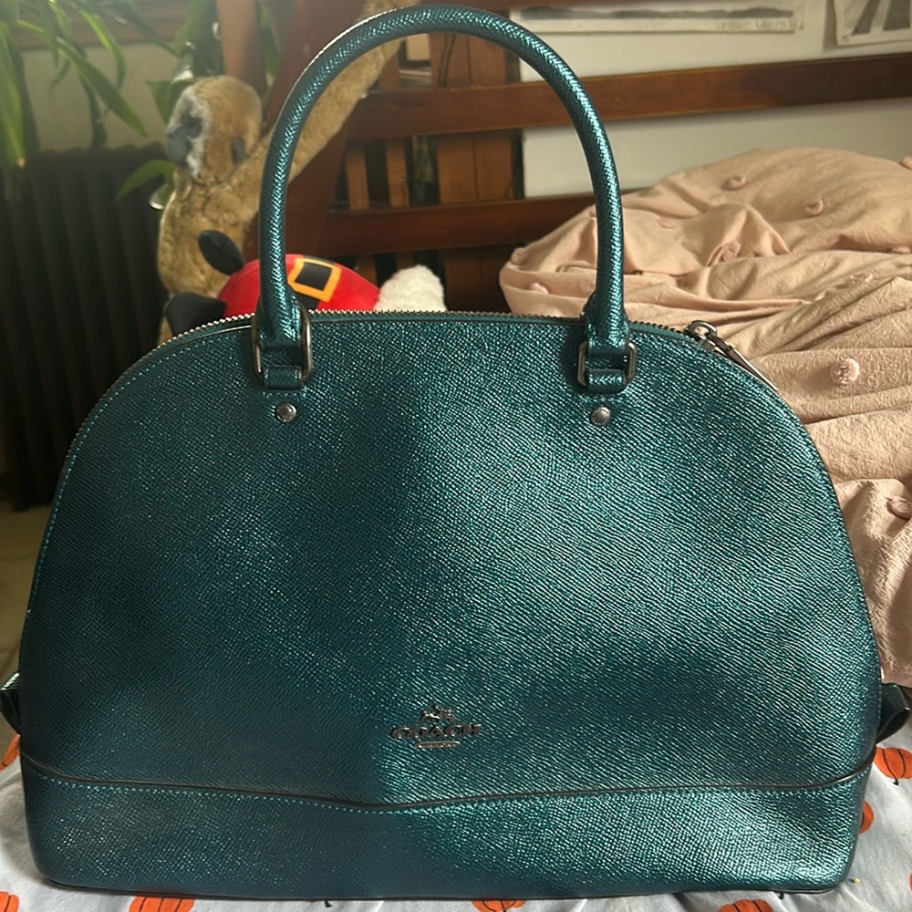 Luxury Coach bag never used!